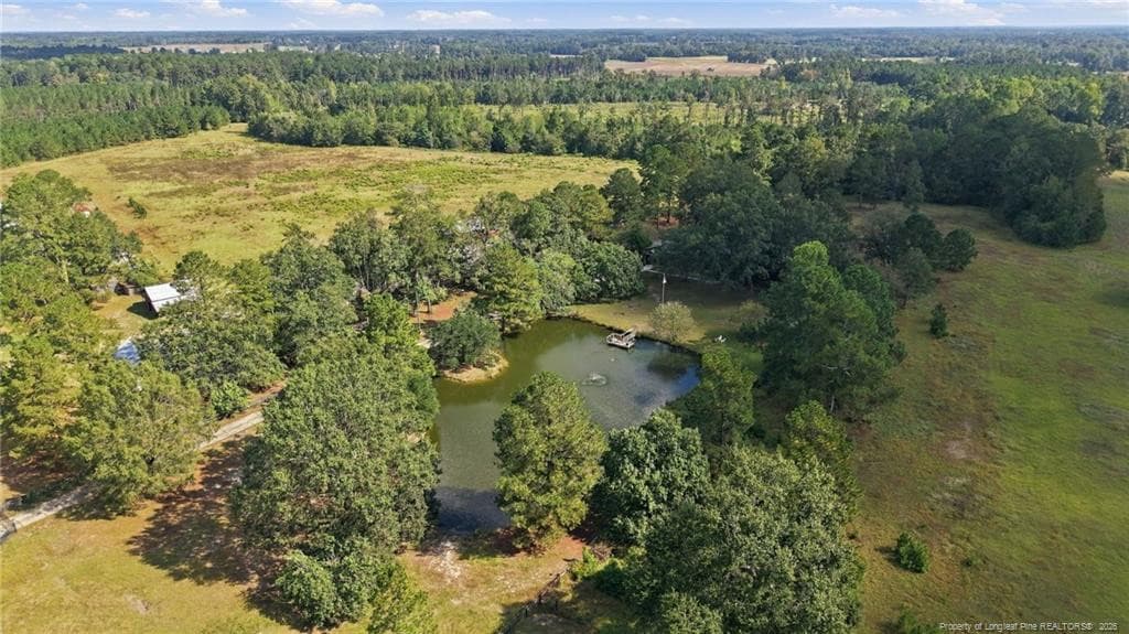Photo 4 - 5199 Tobacco Road, Orrum, NC 28369