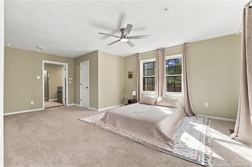 Photo 11 - 5199 Tobacco Road, Orrum, NC 28369