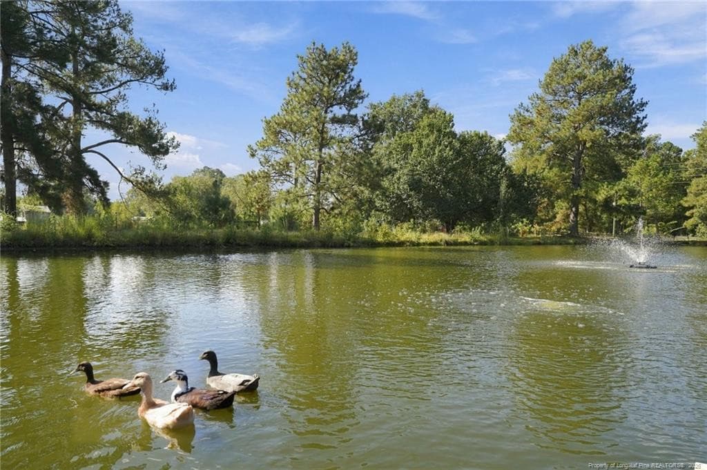 Photo 38 - 5199 Tobacco Road, Orrum, NC 28369