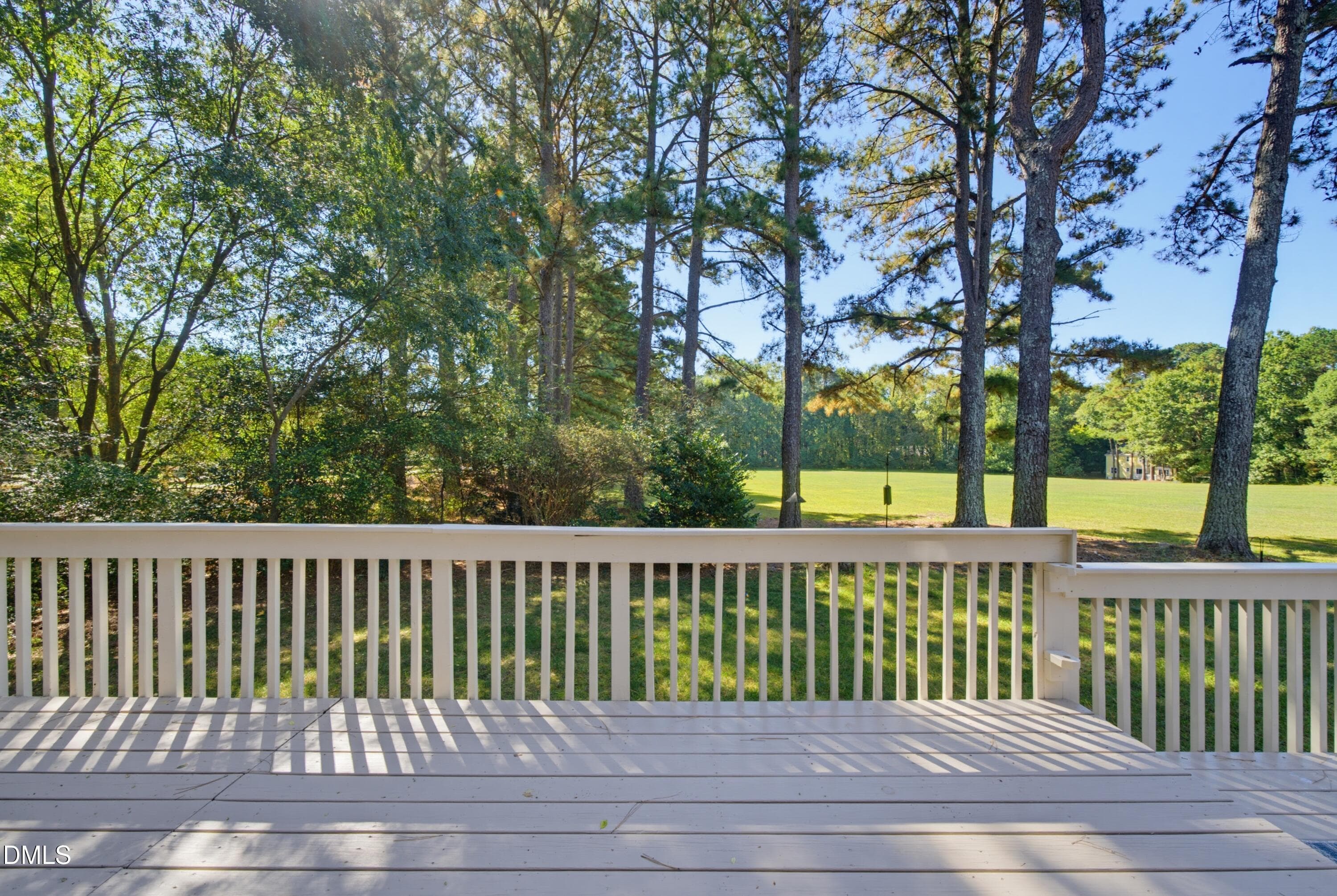 DSC00904 - 4605 Holly Brook Drive, Apex, NC 27539
