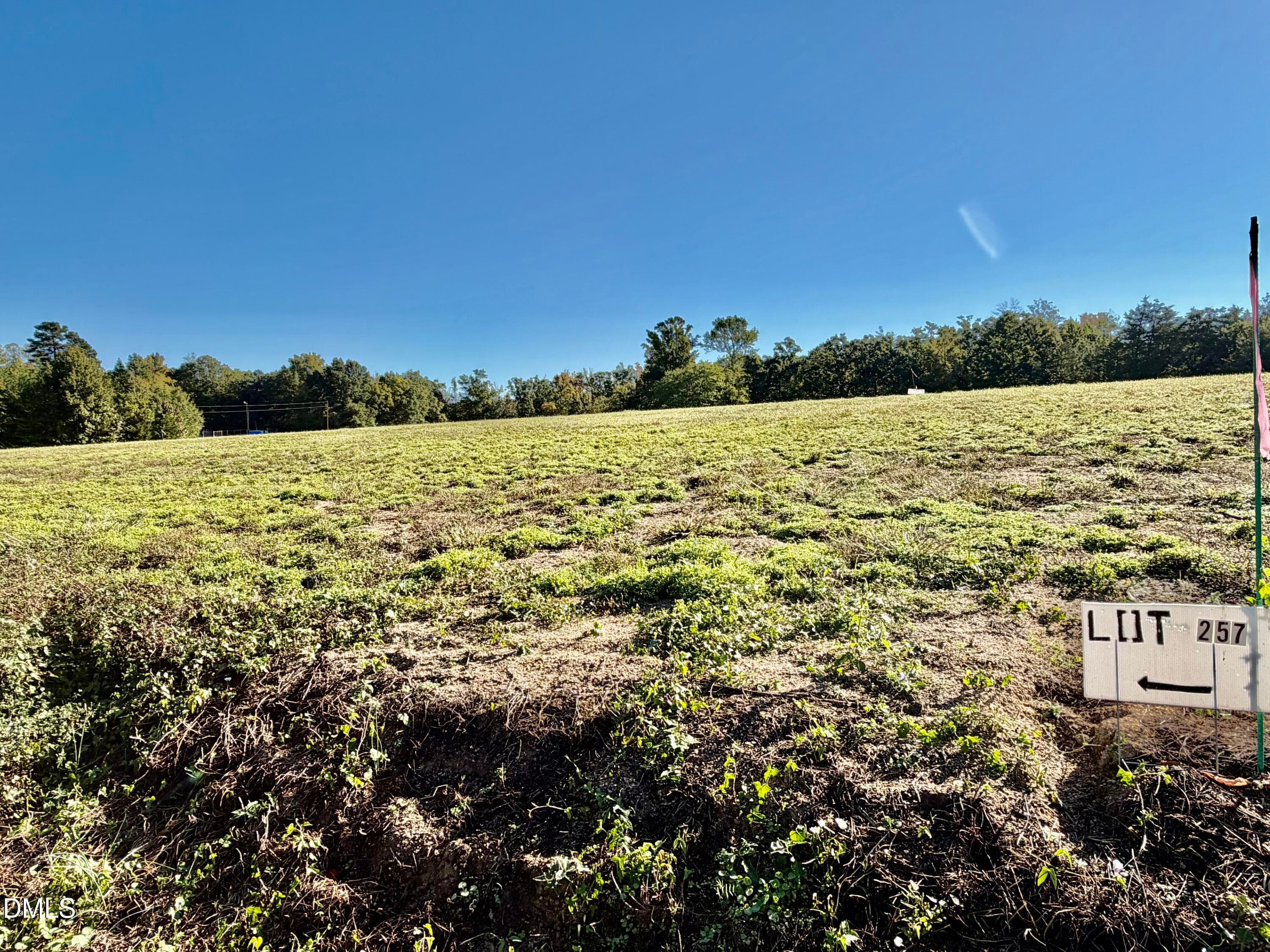 IMG_0384 - 5.71 Acres Snipes Road, Hurdle Mills, NC 27541