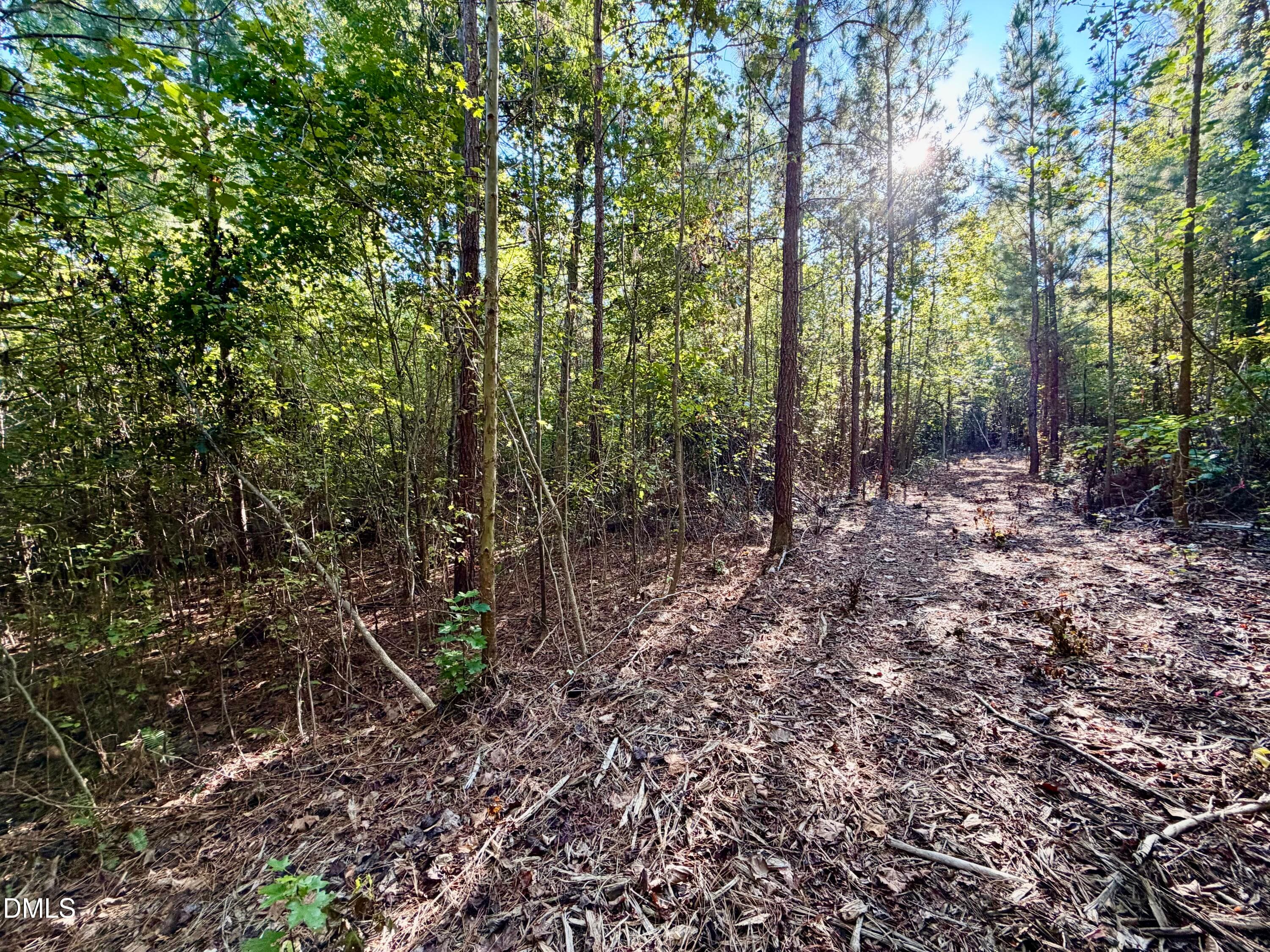 IMG_0397 - 5.71 Acres Snipes Road, Hurdle Mills, NC 27541