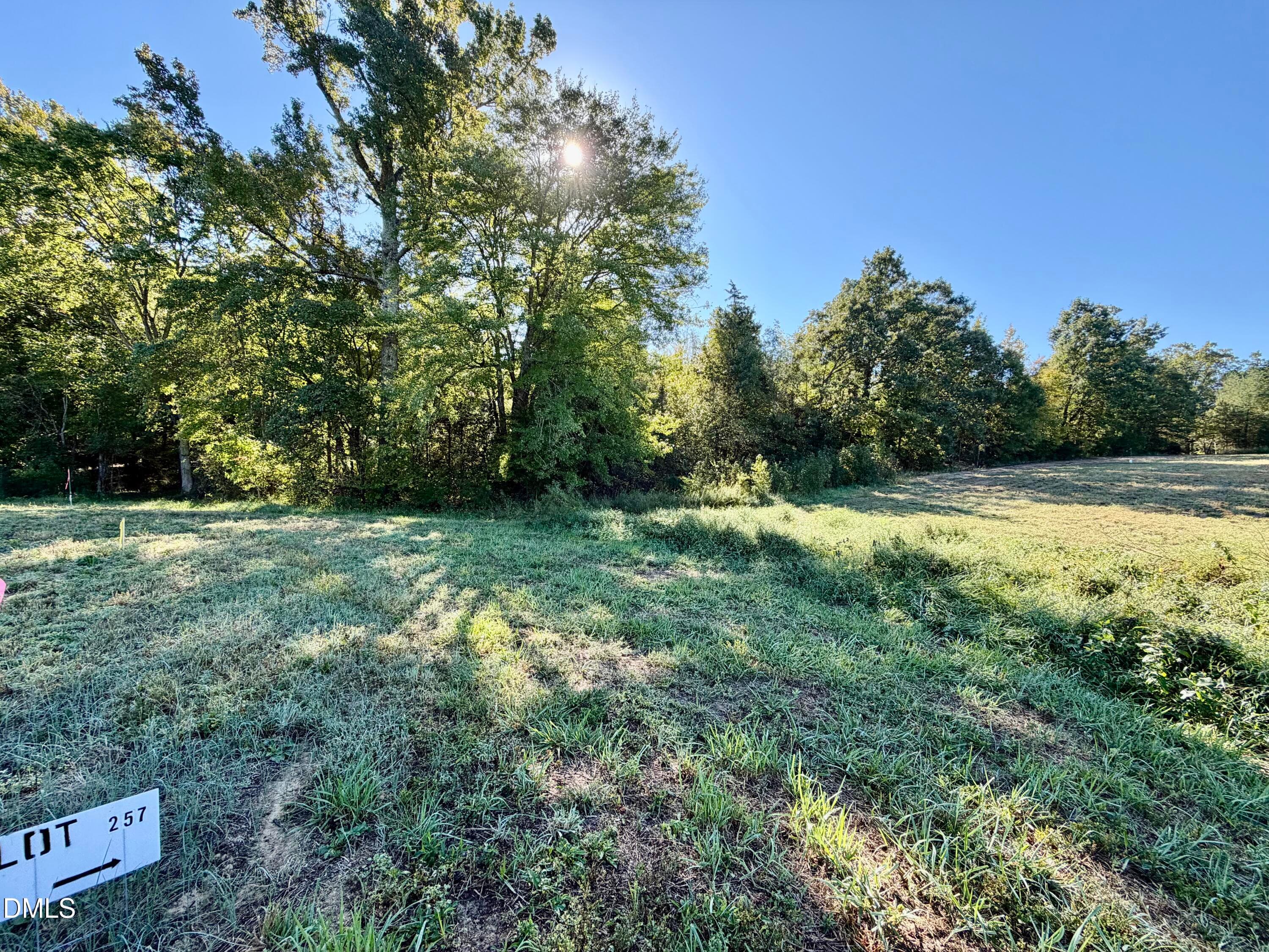IMG_0414 - 5.71 Acres Snipes Road, Hurdle Mills, NC 27541