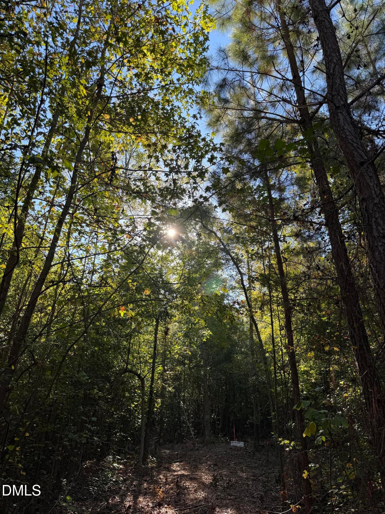 IMG_0408 - 5.71 Acres Snipes Road, Hurdle Mills, NC 27541