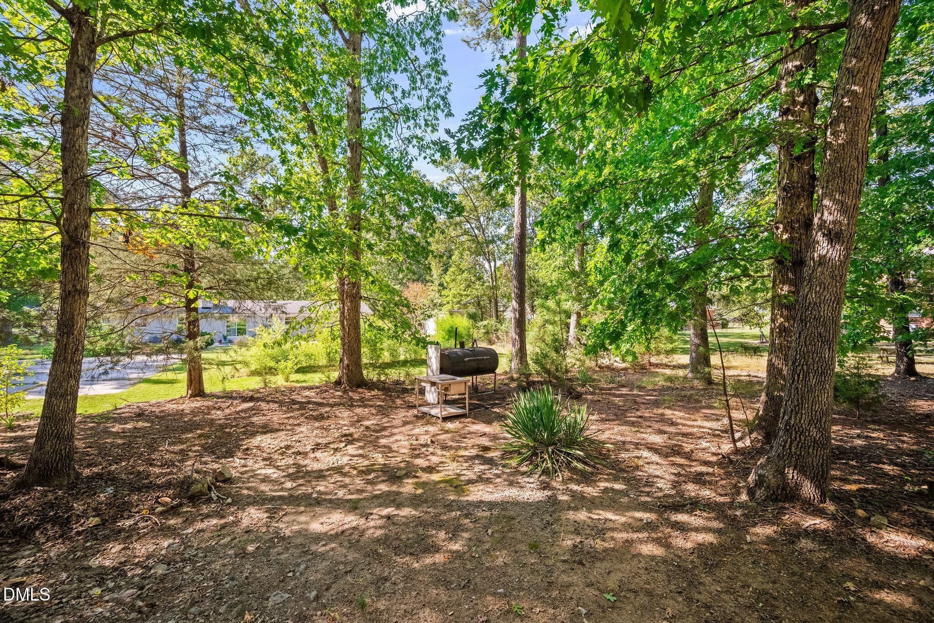 DSC_4114 - 4415 Rhew Drive, Durham, NC 27704