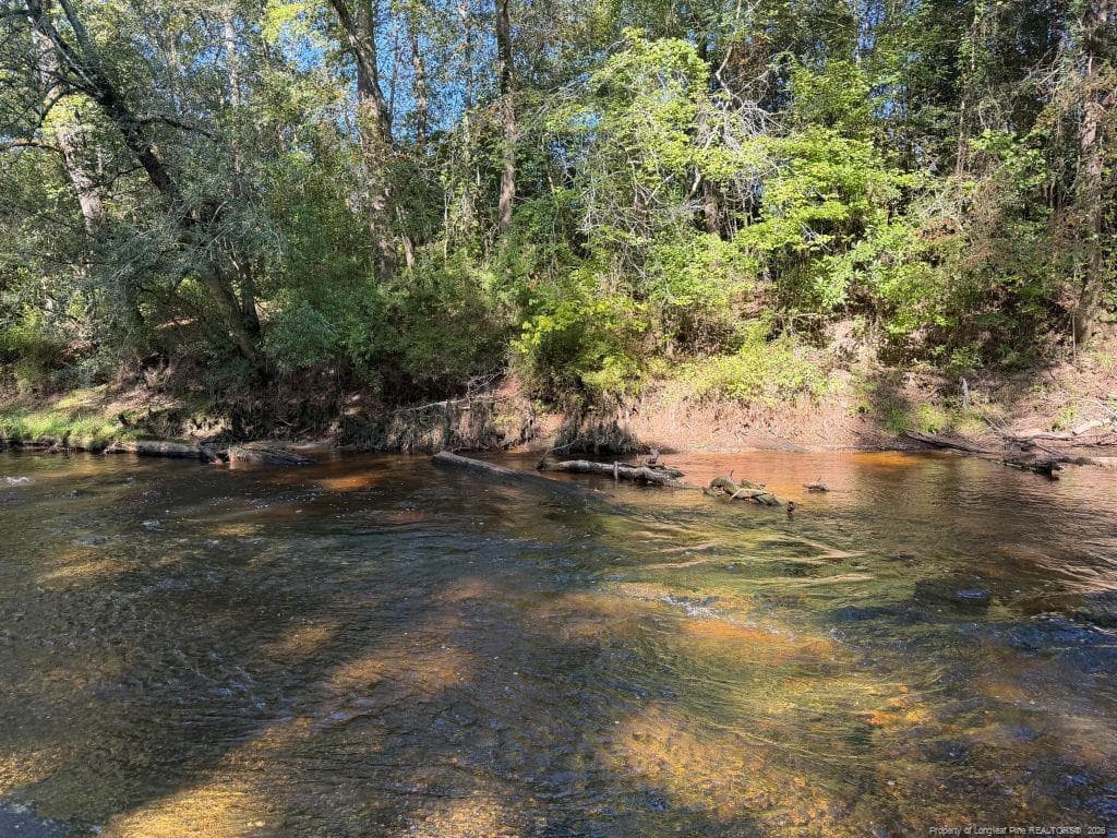 Photo 44 - 2388 Shady Grove Road, Spring Lake, NC 28390