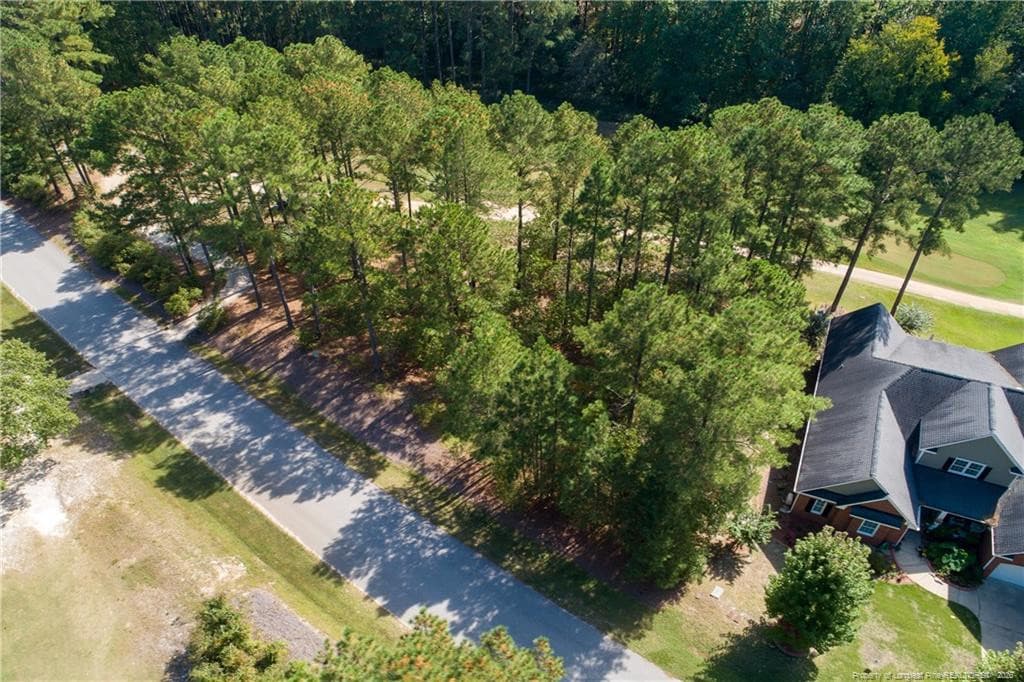 Photo 4 - 326 Micahs Way N, Spring Lake, NC 28390