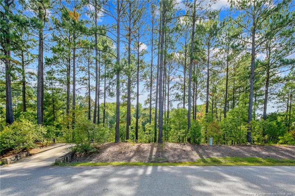 Photo 6 - 326 Micahs Way N, Spring Lake, NC 28390