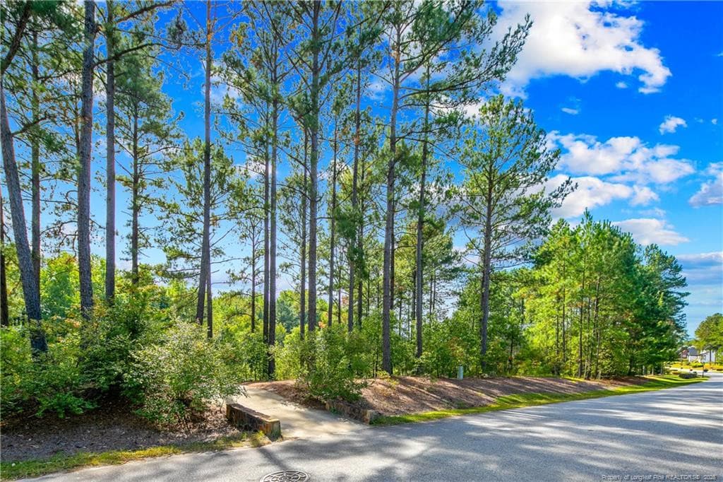 Photo 7 - 326 Micahs Way N, Spring Lake, NC 28390