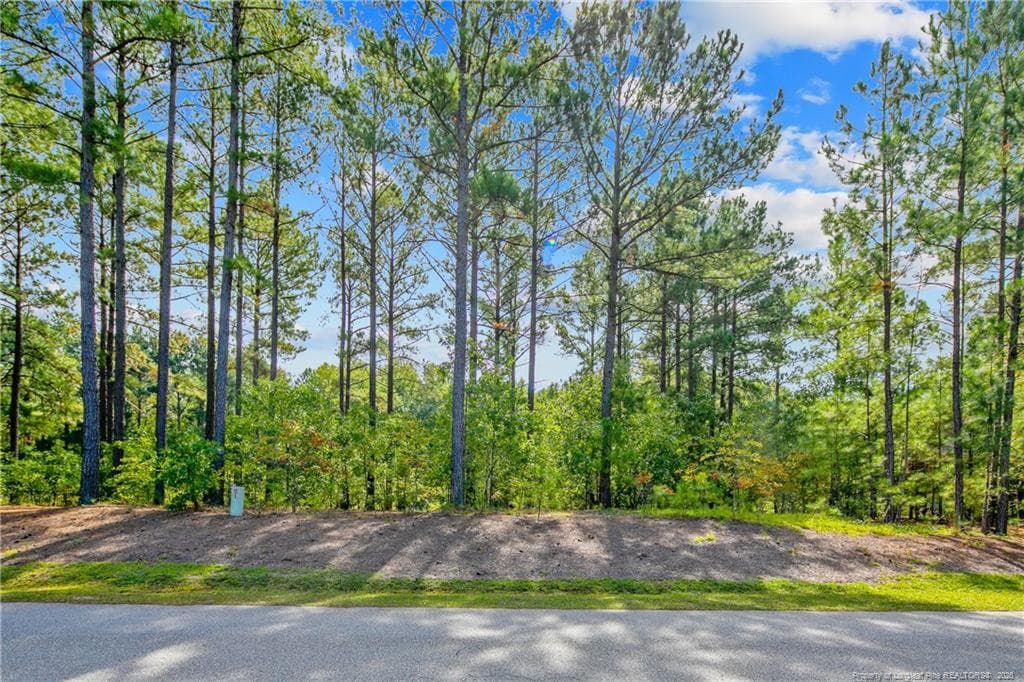 Photo 8 - 326 Micahs Way N, Spring Lake, NC 28390