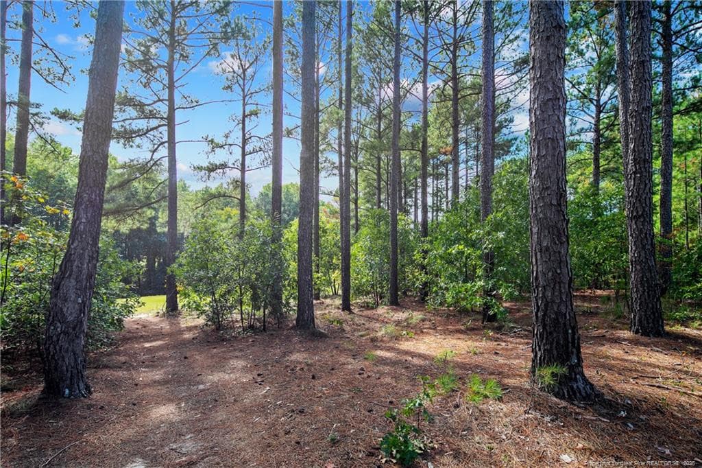 Photo 9 - 326 Micahs Way N, Spring Lake, NC 28390