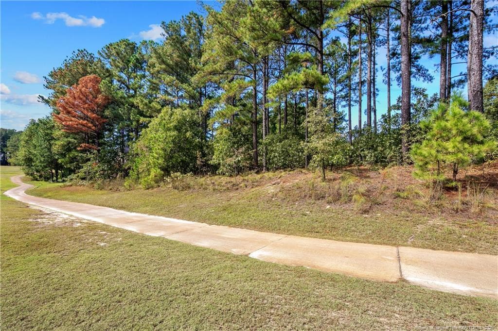 Photo 10 - 326 Micahs Way N, Spring Lake, NC 28390