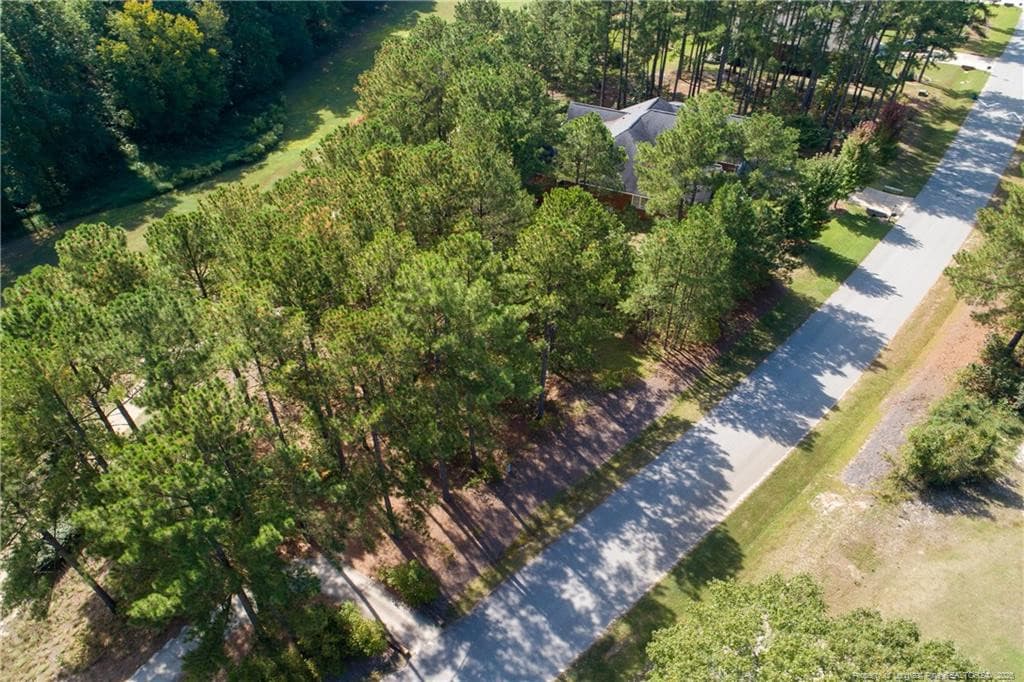 Photo 13 - 326 Micahs Way N, Spring Lake, NC 28390
