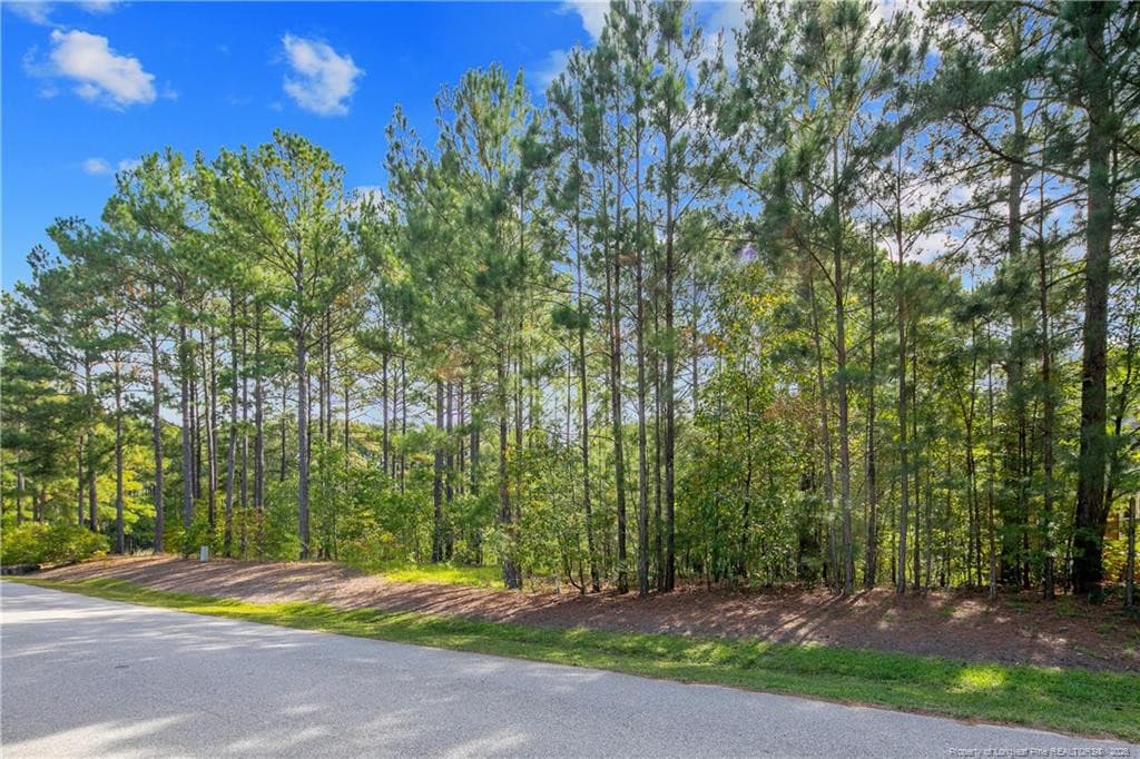 Photo 17 - 326 Micahs Way N, Spring Lake, NC 28390