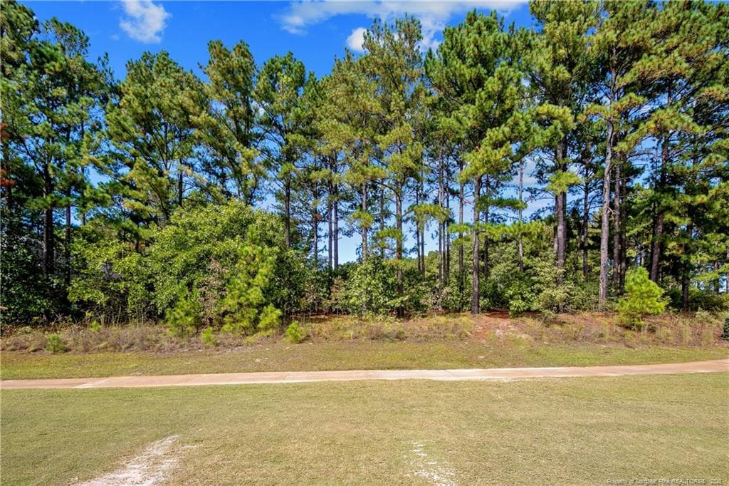Photo 18 - 326 Micahs Way N, Spring Lake, NC 28390