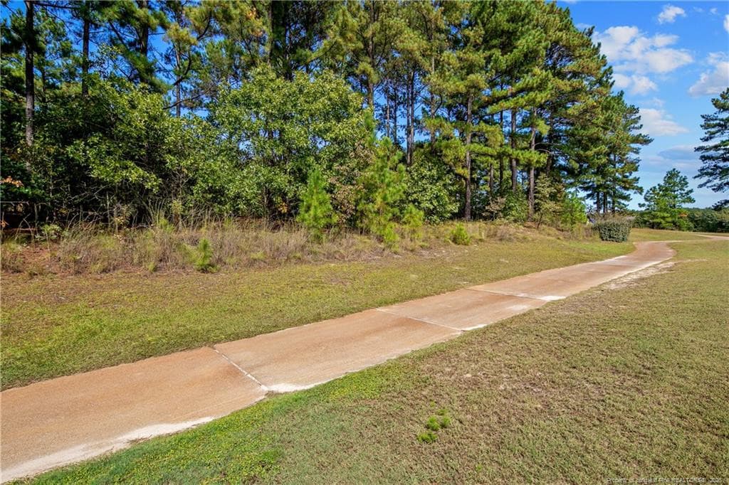Photo 19 - 326 Micahs Way N, Spring Lake, NC 28390