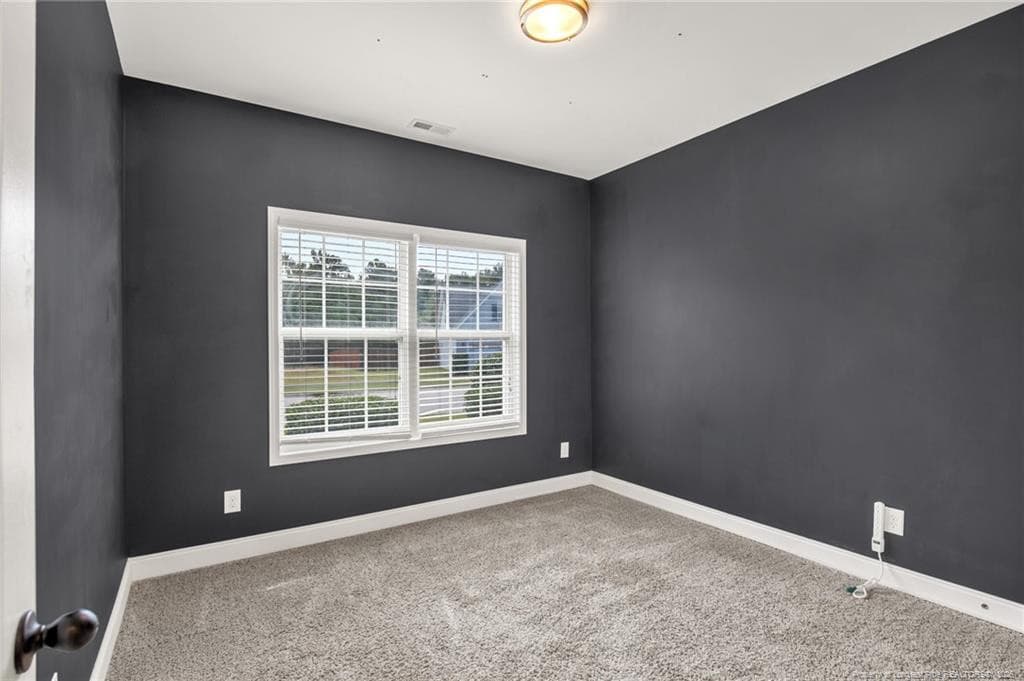 Photo 27 - 209 Meherrin Loop, Raeford, NC 28376