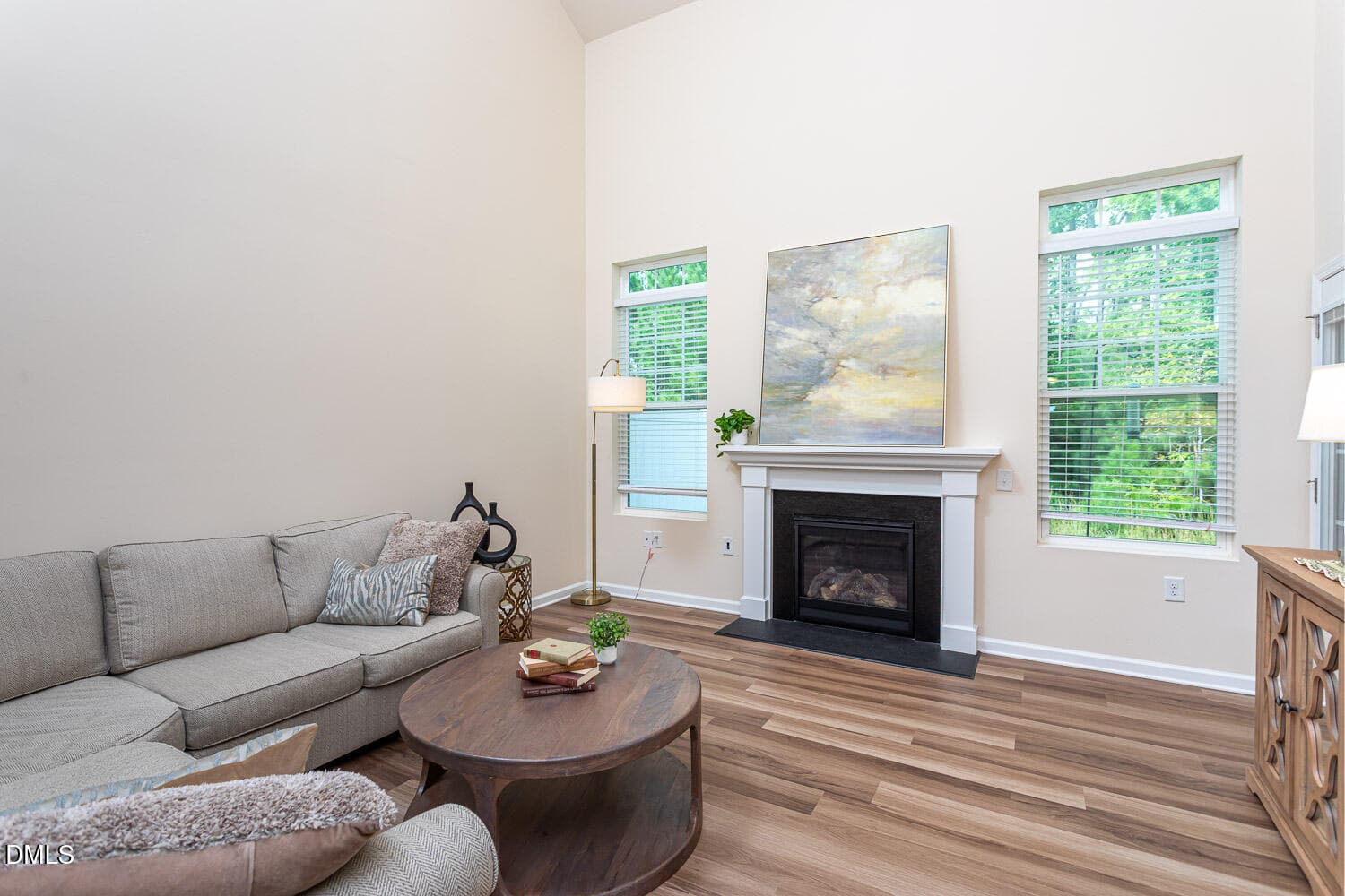 Living Room - 718 Great Eno Path, Hillsborough, NC 27278, Hillsborough