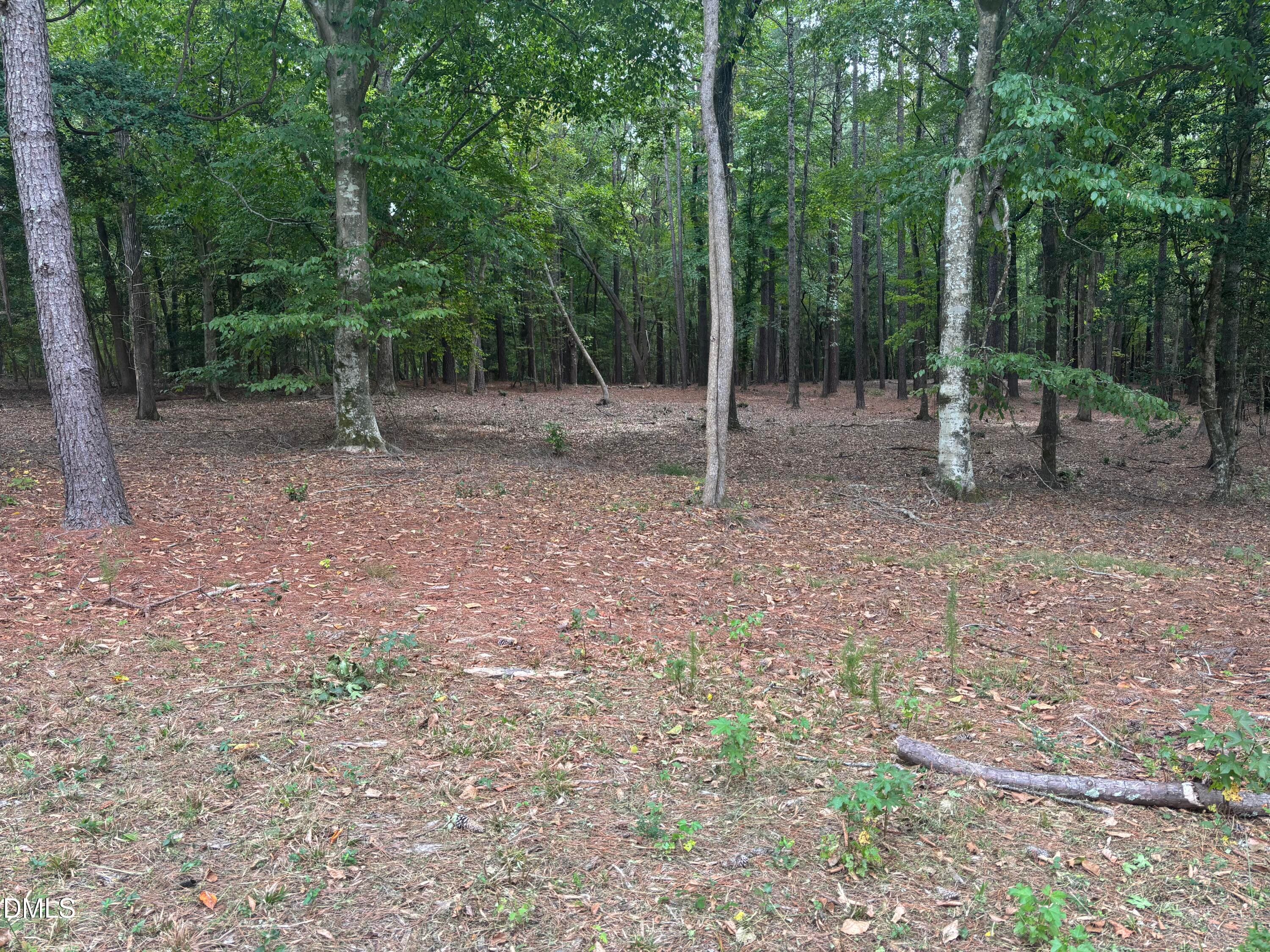 IMG_7765 - 4030 Granite Ridge Trail, Raleigh, NC 27616, Raleigh