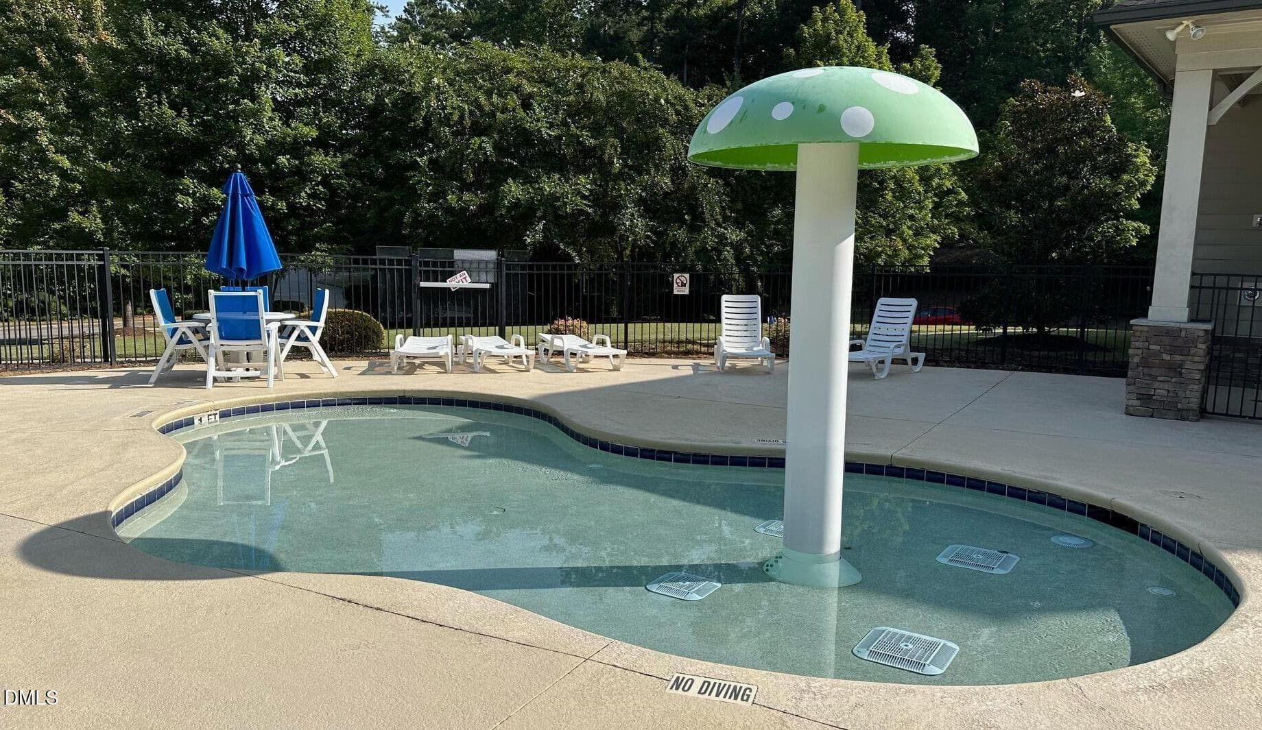 Toddler Pool - 334 Naples Lane, Clayton, NC 27527