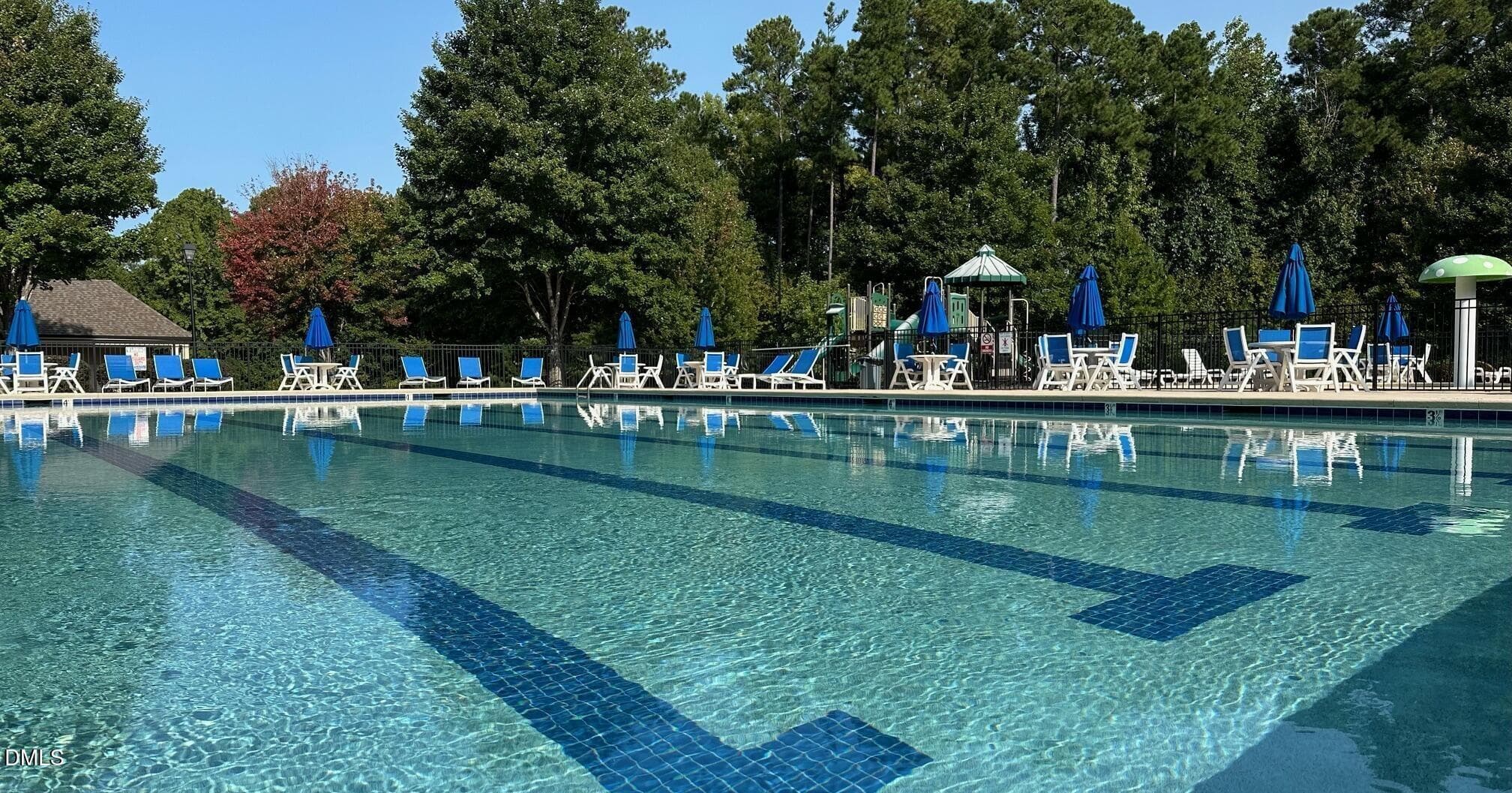 Community Pool - 334 Naples Lane, Clayton, NC 27527