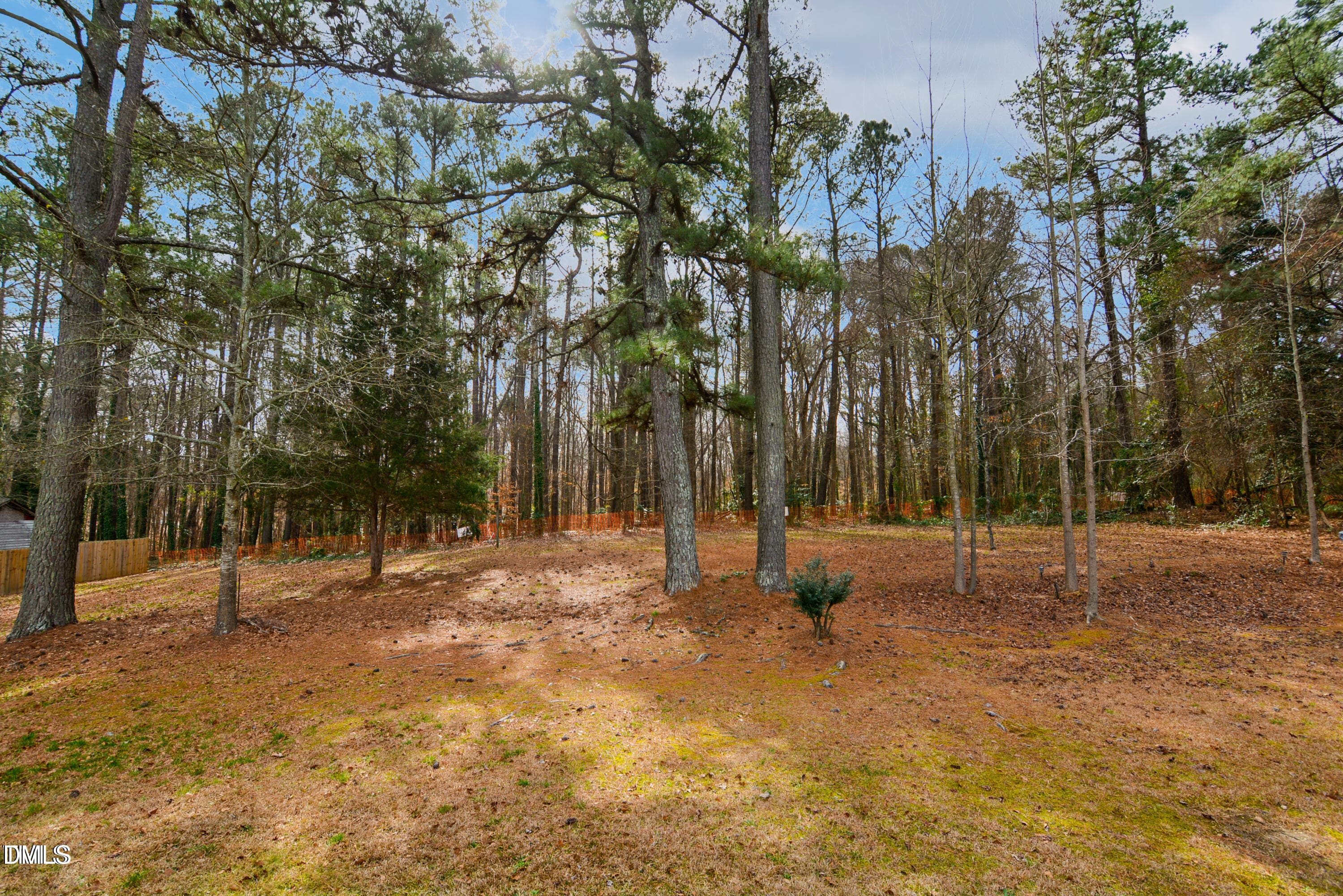 Backyard - 2918 Haven Road, Raleigh, NC 27610