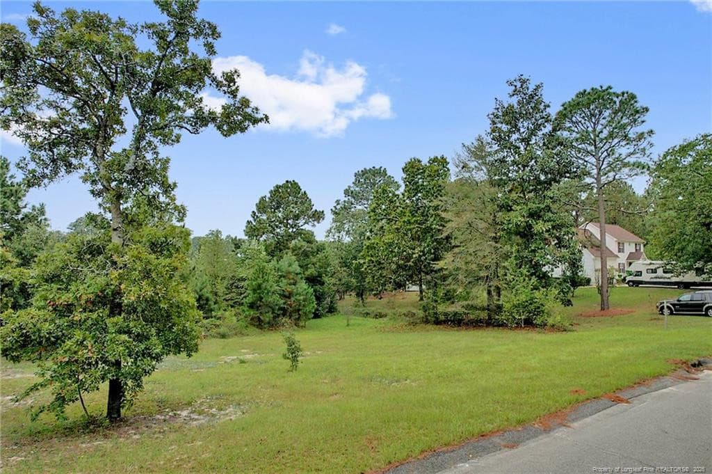 Photo 9 - 8509 Independence Drive, Hope Mills, NC 28348