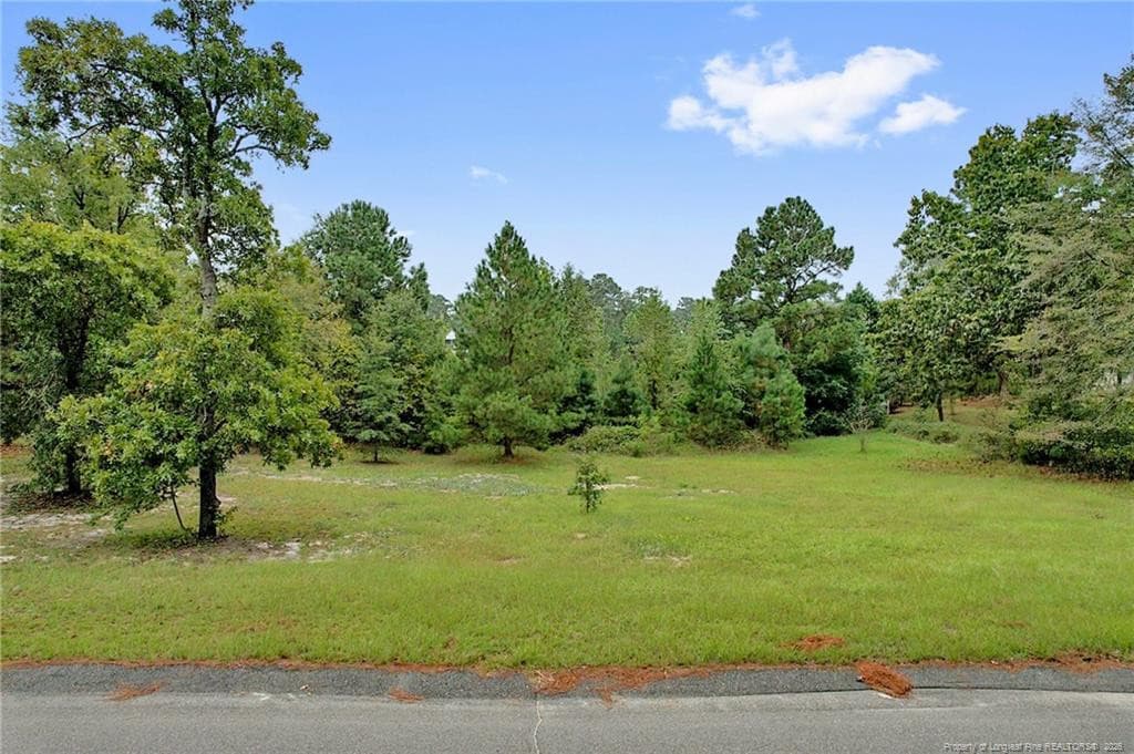 Photo 10 - 8509 Independence Drive, Hope Mills, NC 28348