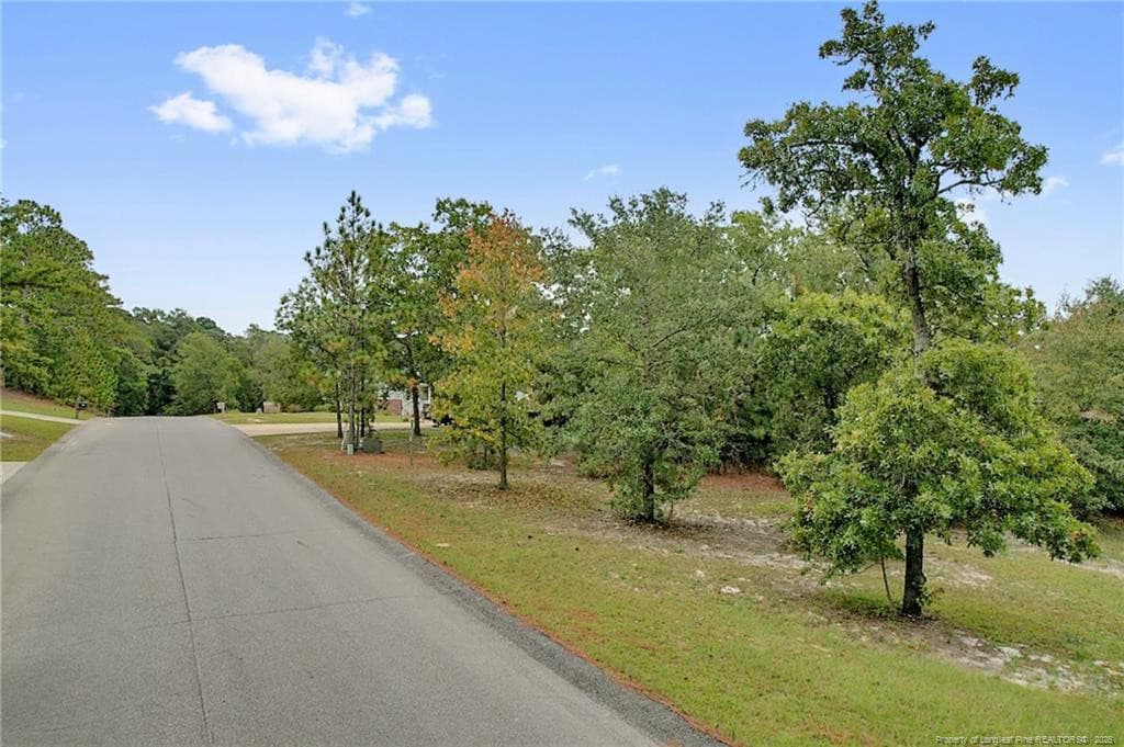 Photo 11 - 8509 Independence Drive, Hope Mills, NC 28348