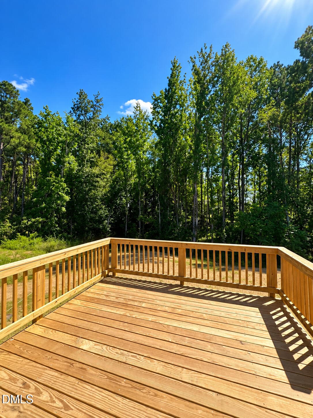 CE5850F1-859A-4C4D-8DF9-074CDE08DB2B - 250 Rising Star Drive, Clayton, NC 27520, Clayton