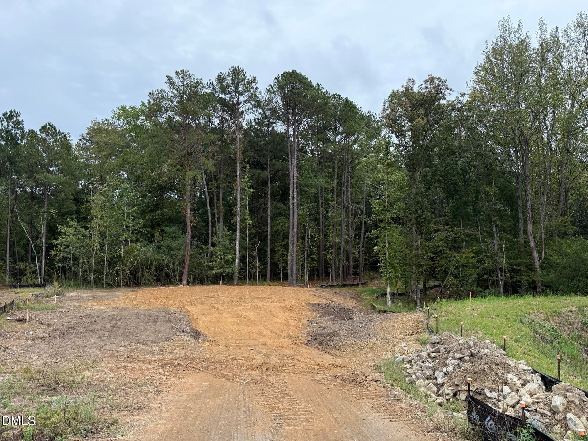 IMG_9845 - 4000 Kingcraig Lane, Zebulon, NC 27597