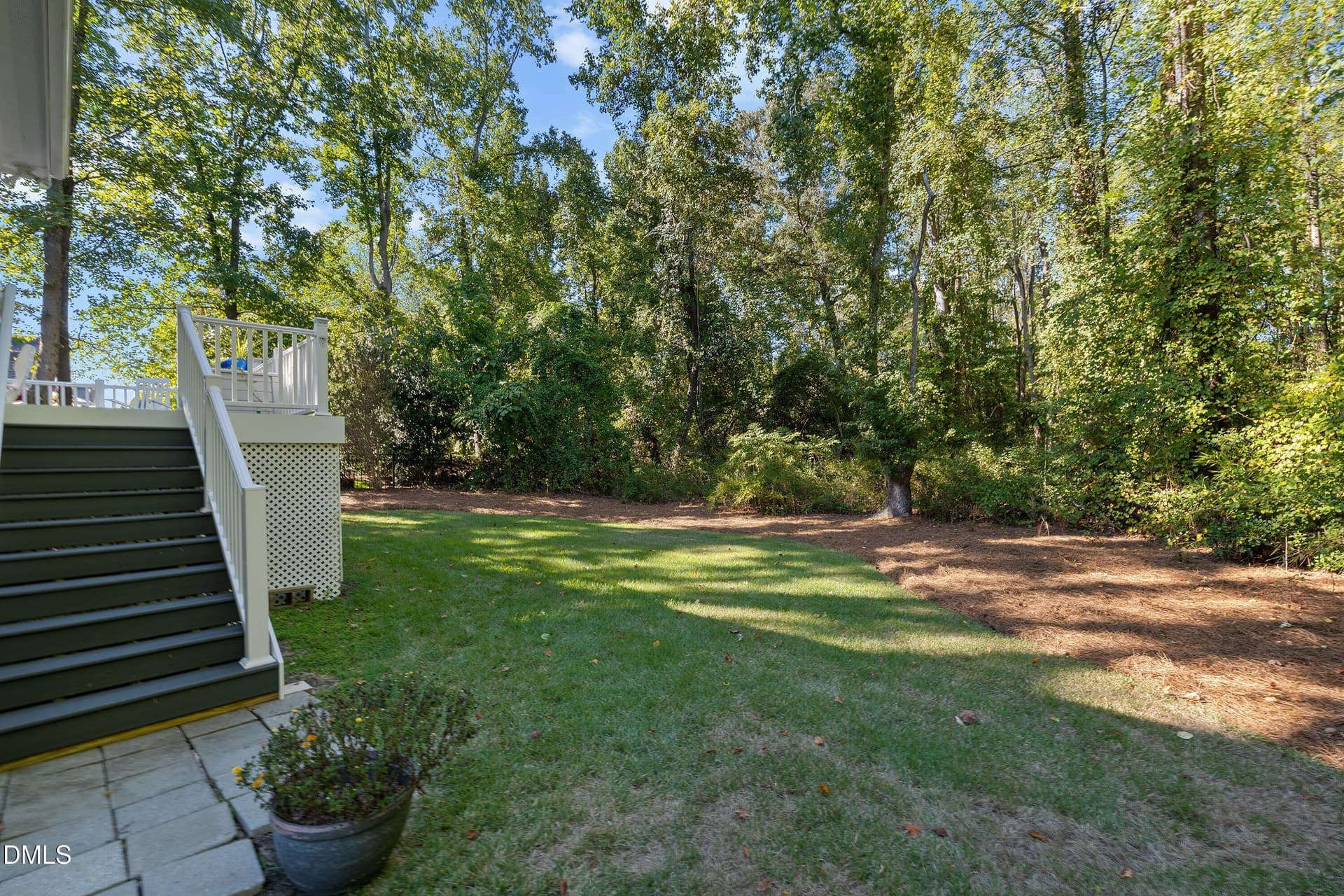 Back Deck Stairs - 1359 Stone Lion Drive, Fuquay Varina, NC 27526