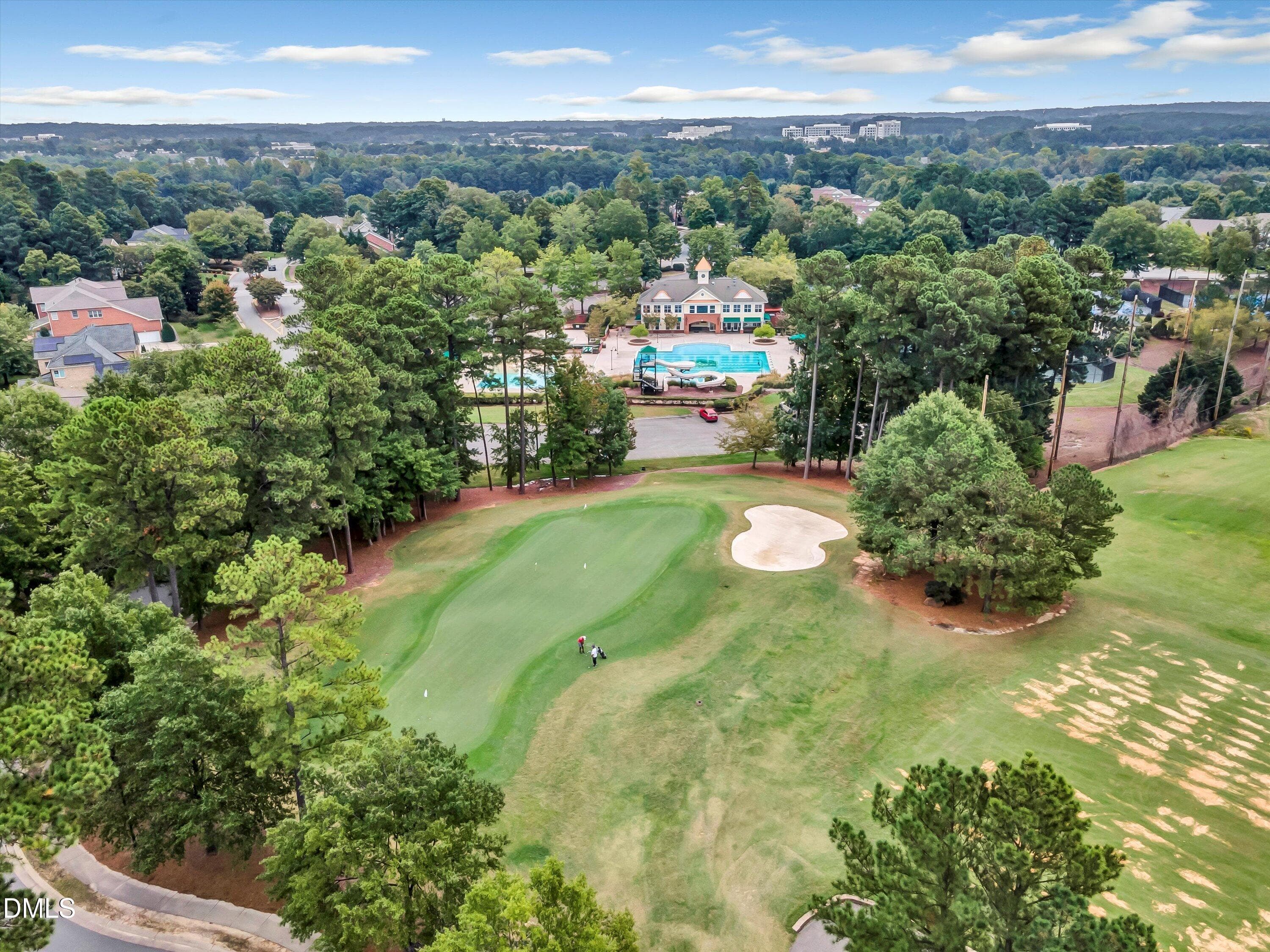 083-82-DJI_0240 - 9113 Mission Hills Court, Raleigh, NC 27617, Raleigh