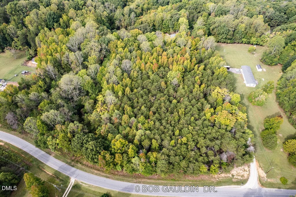 0 Bob Gauldin Dr.-5 - 0 Bob Gauldin Drive, Pelham, NC 27311