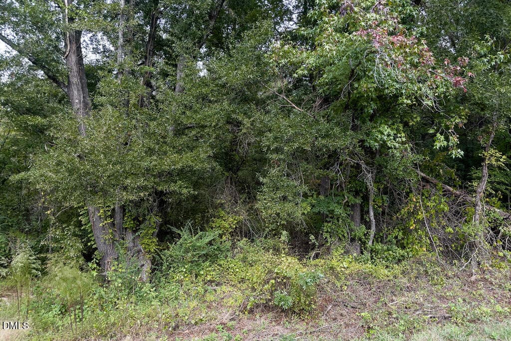 0 Bob Gauldin Dr.-14 - 0 Bob Gauldin Drive, Pelham, NC 27311