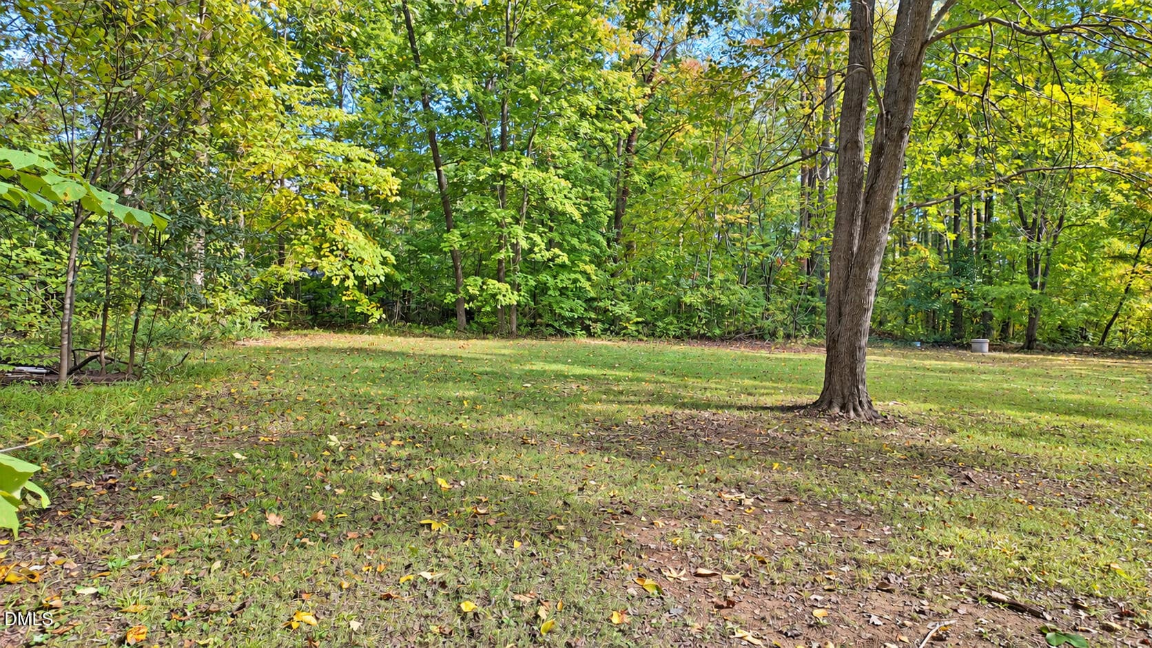 Yard - 111 Colonial Estates Road, Roxboro, NC 27574, Roxboro