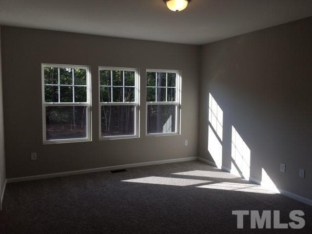 Photo #12 - 501 Durants Neck Lane, Morrisville, NC 27560