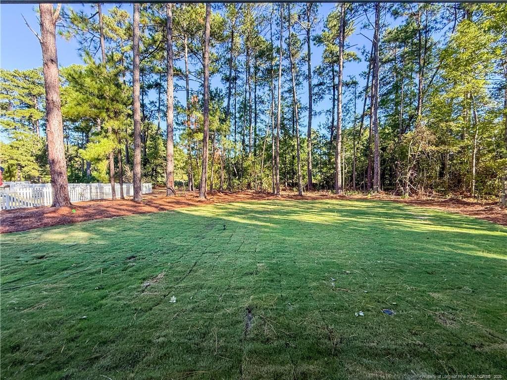 Photo 29 - 159 Laurel Oak Lane, Pinebluff, NC 28373