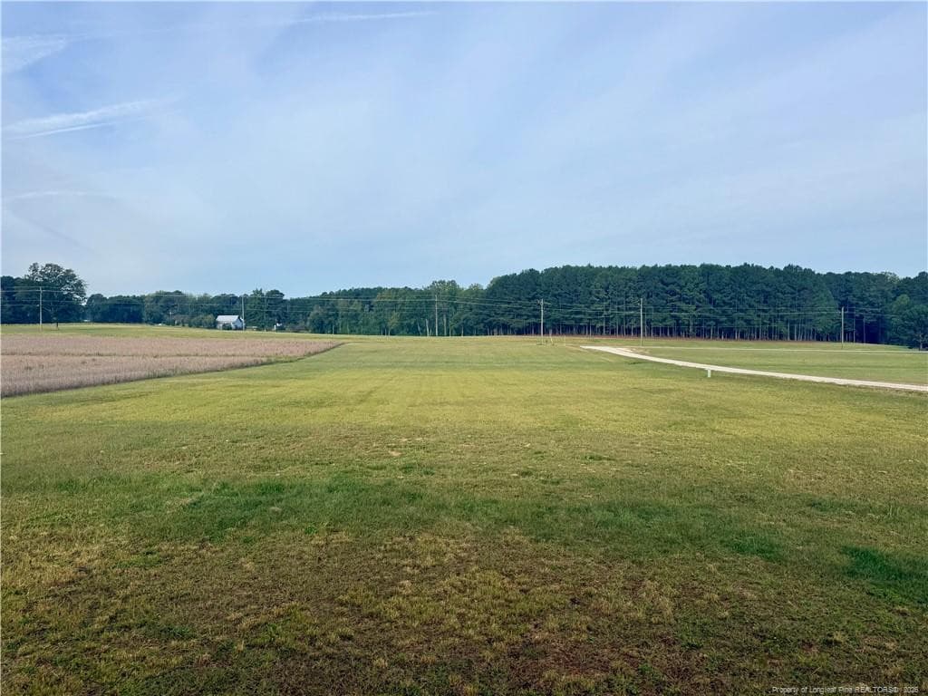 Photo 14 - 1167 NC-231 Highway, Spring Hope, NC 27882