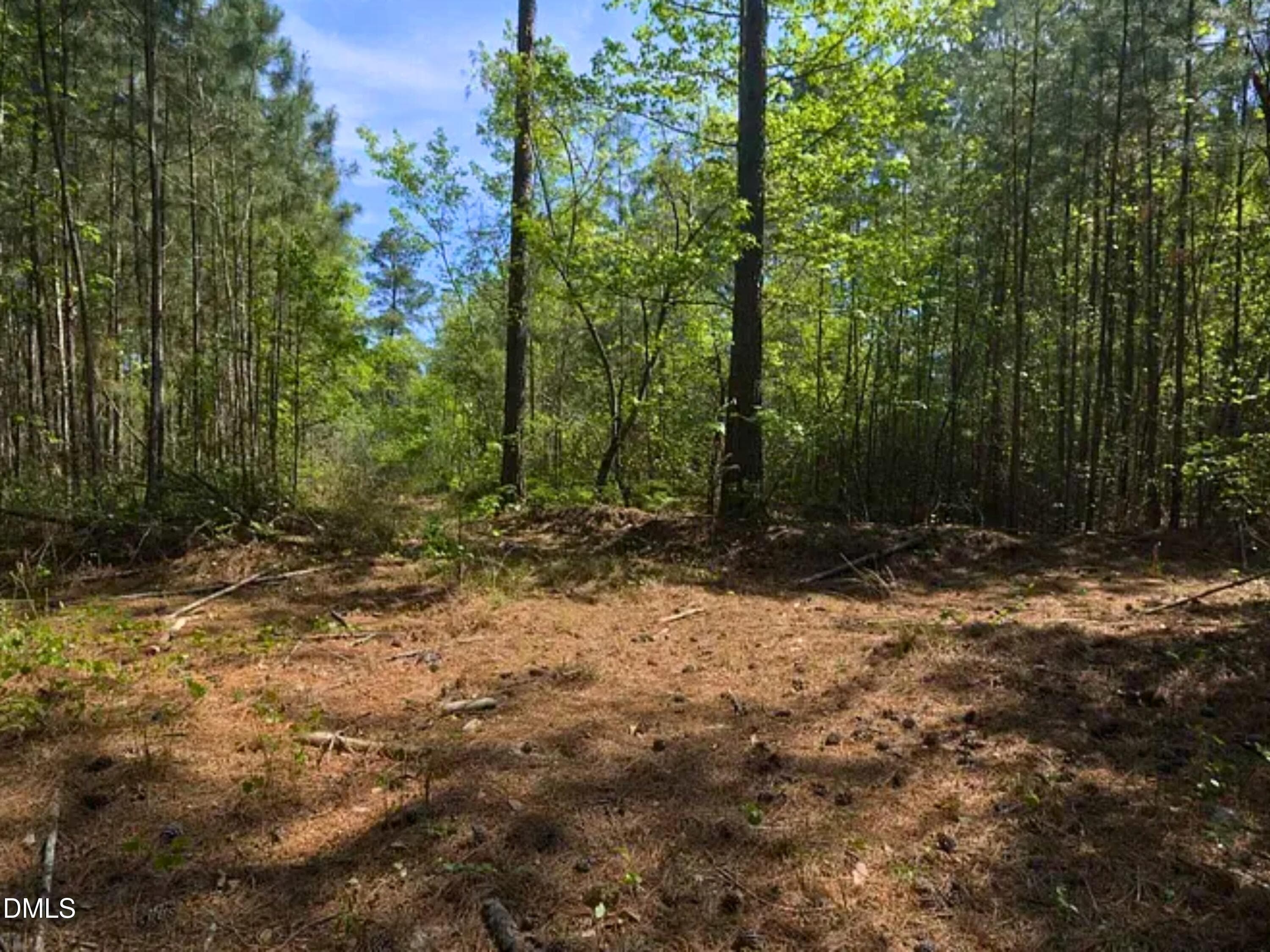 Wooded Acreage in the NC Sandhills - 00-00 Strother Road, Aberdeen, NC 28315