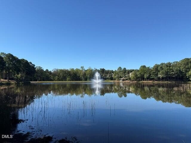 Community Lake - 8241 Allyns Landing Way 302, Raleigh, NC 27615, Raleigh