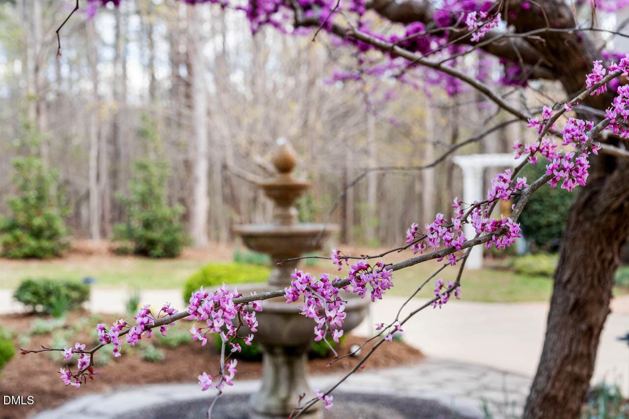 8 - 801 Oxbow Crossing Road, Chapel Hill, NC 27516, Chapel Hill