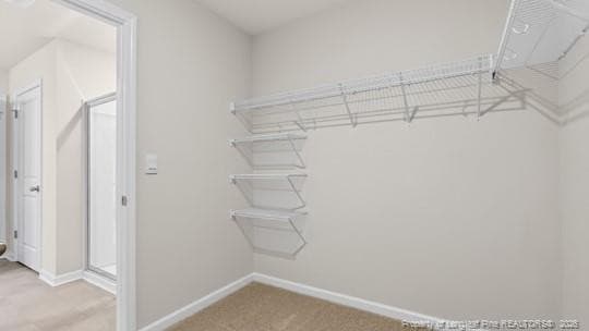 PRIMARY SUITE CLOSET - 87 Firehawk Drive, Spring Lake, NC 28390