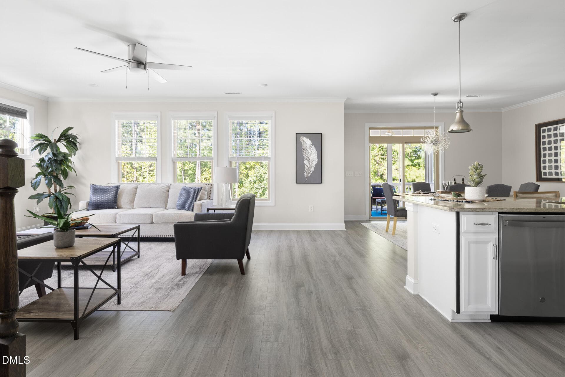 Light Filled Living - 252 Two Creeks Loop, Chapel Hill, NC 27517, Chapel Hill