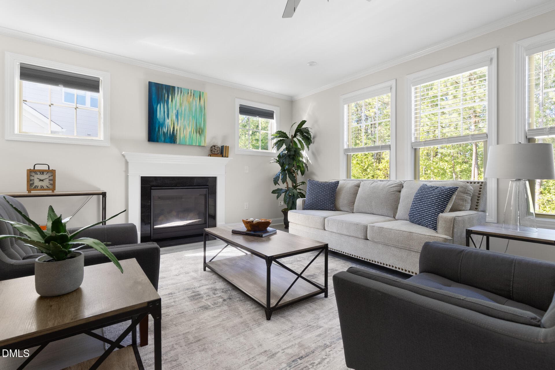Naturally Lit Living Room - 252 Two Creeks Loop, Chapel Hill, NC 27517, Chapel Hill