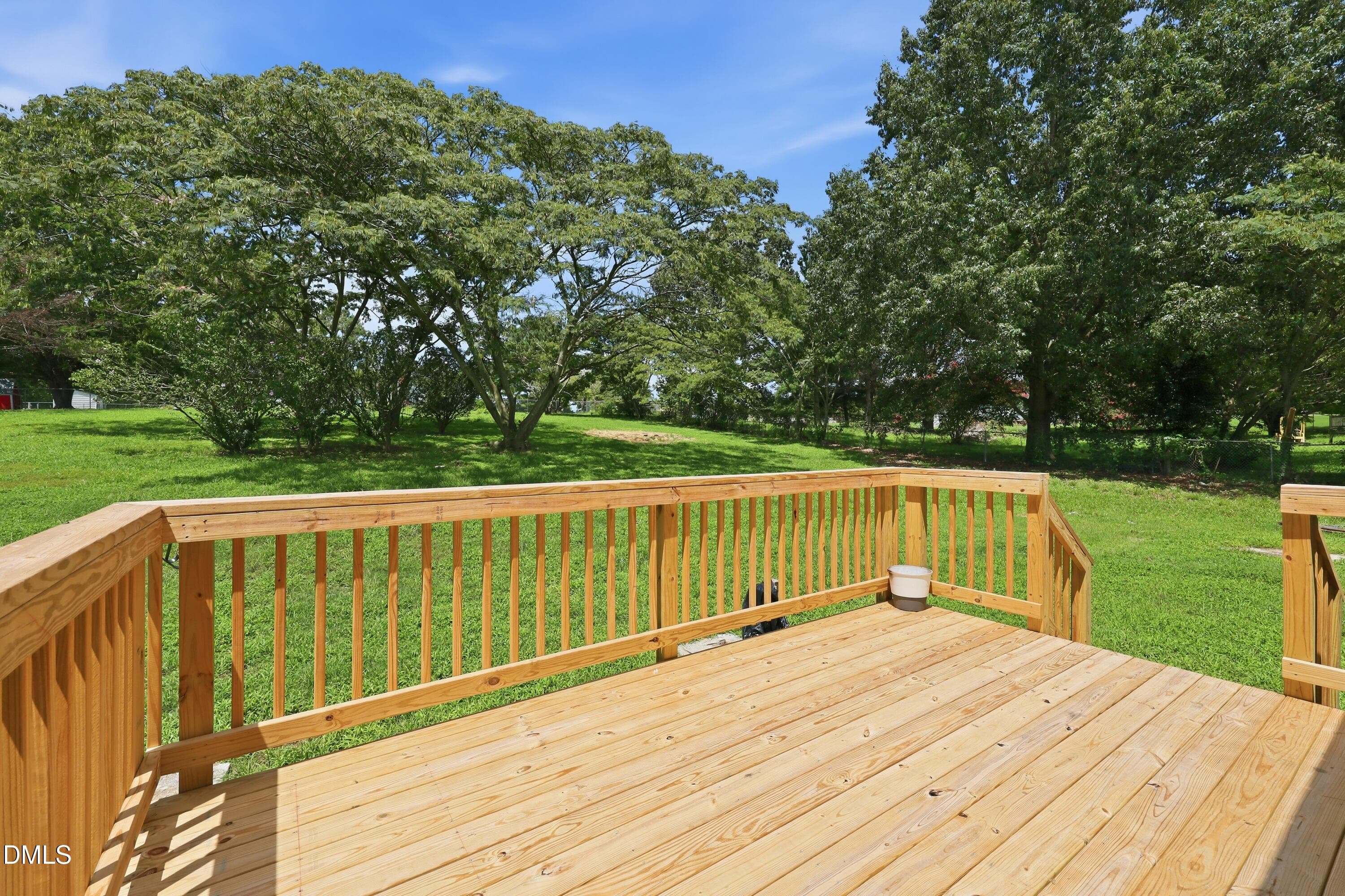 New Back Deck - 147 Bridle Trail, Youngsville, NC 27596, Youngsville