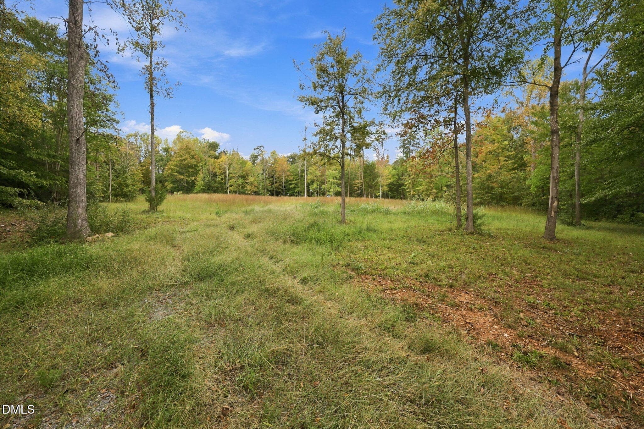 20-web-or-mls-IMG_0816 - Lot 1 Pine Lake Lane, Mebane, NC 27302, Mebane