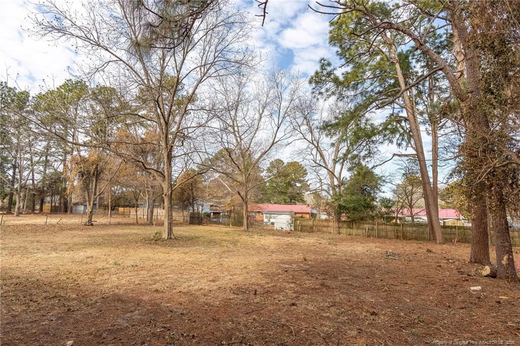 Photo 19 - 228 Odell Road, Spring Lake, NC 28390