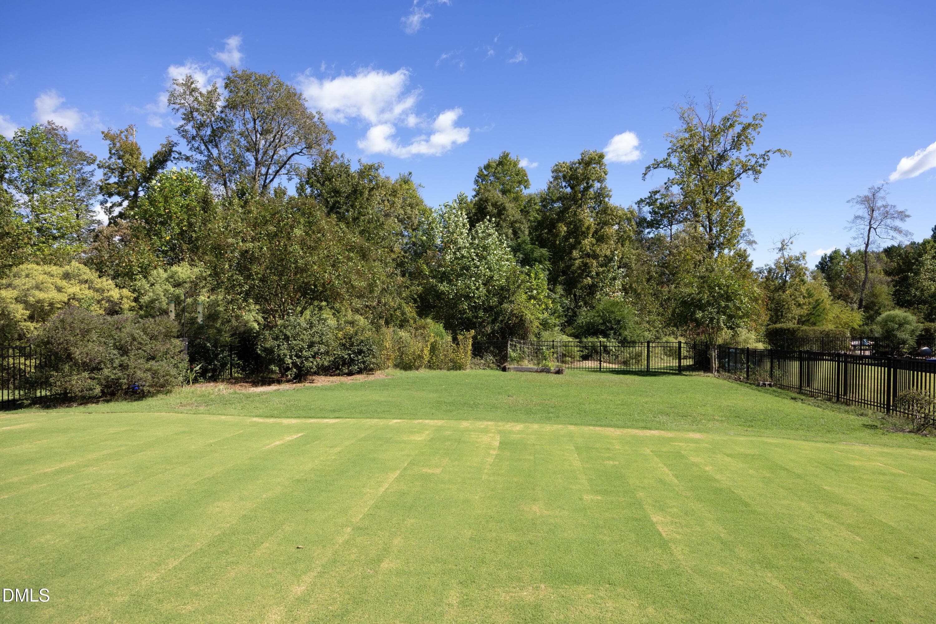 Yard - 5000 Silver Spruce Way, Zebulon, NC 27597, Zebulon