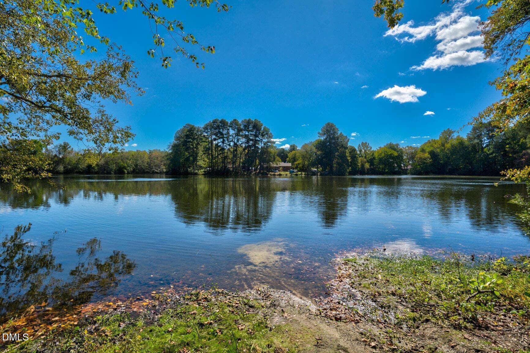 Private Lake - 4719 Lakeview Road, Elm City, NC 27822